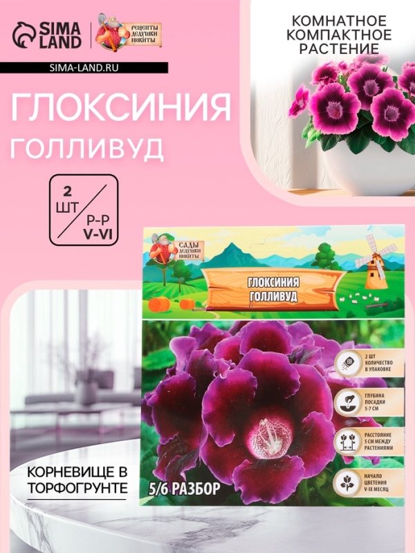 Глоксиния «Голливуд», многолетник, комнатный, луковица в пакете с перфорацией, р-р 5/6, 2 шт.