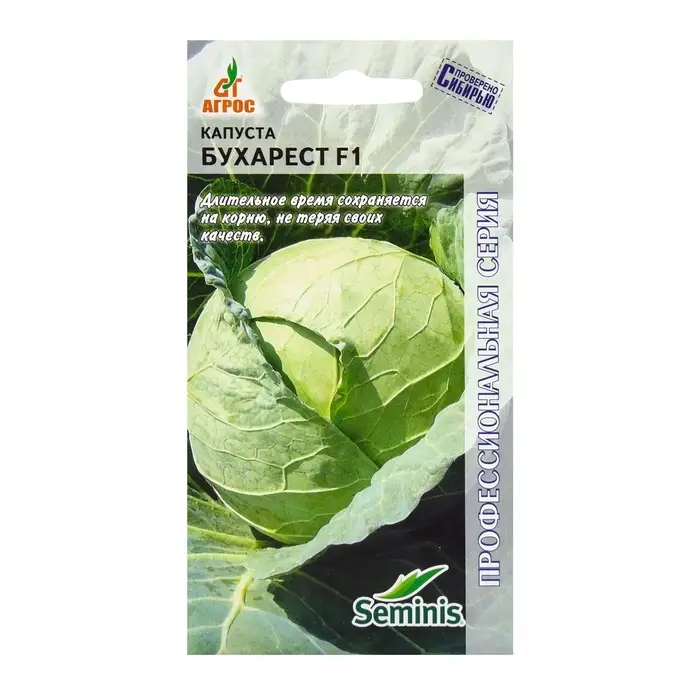 Семена Капуста б/к Семена Капуста б/к"Бухарест"F1 15шт* Seminis