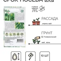 Семена Огурец &laquo;Кураж&raquo;, F1, 10 шт. + &laquo;Мурашка&raquo;, F1, 10 шт., серия &laquo;Дуэт&raquo;, &laquo;Гавриш&raquo;