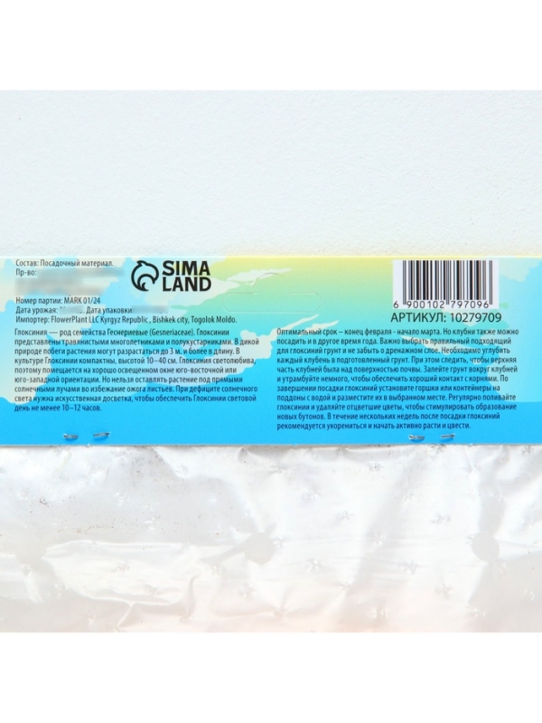 Глоксиния «Виолацея», многолетник, комнатный, луковица в пакете с перфорацией, р-р 5/6, 2 шт.