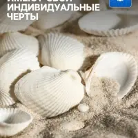 Набор ракушек, 2 - 3.5 см, 100 г