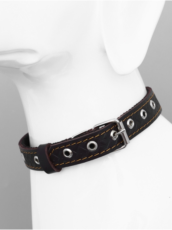 Ошейник кожаный усиленный капроном с полукольцом, 55 х 2,5 см, ОШ 27-53 см, коричневый Ошейник кожаный усиленный капроном с полукольцом, 55 х 2,5 см, ОШ 27-53 см, коричневый