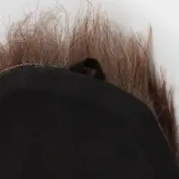 Панно &laquo;Голова орла&raquo;, 15&times;15&times;7 см