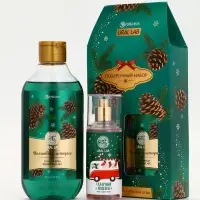 Подарочный набор URAL LAB «Волшебные истории»: гель для душа 300 мл и мист для тела 88 мл, Новый Год Подарочный набор URAL LAB «Волшебные истории»: гель для душа 300 мл и мист для тела 88 мл, Новый Год