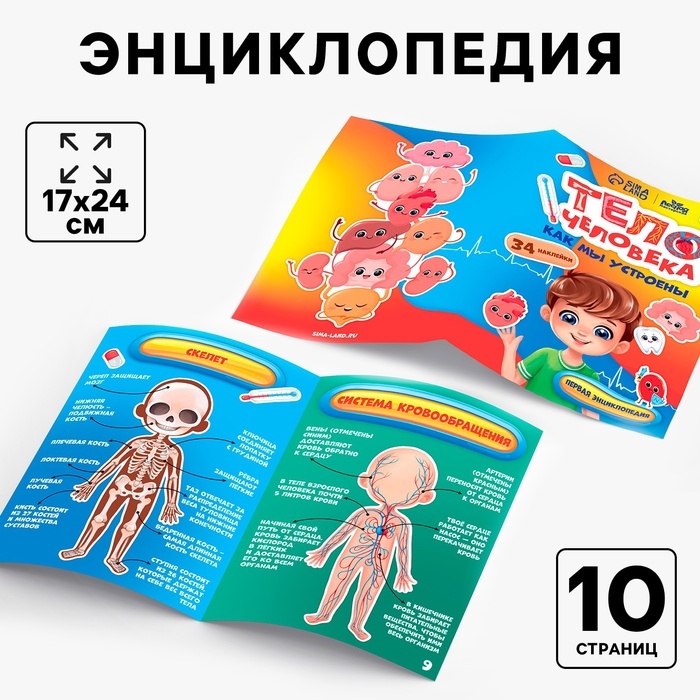 Обучающий набор «Тело человека», рамка-вкладка и книга с наклейками Обучающий набор «Тело человека», рамка-вкладка и книга с наклейками