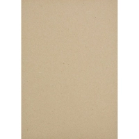 Картон цветной Выбор есть Отличник 24л12цв А4 немелован.пакет