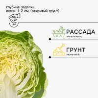 Семена Капуста белокочанная &laquo;Мегатон&raquo;, F1, 10-12 шт., &laquo;Уральский дачник&raquo;