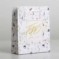 Пакет подарочный ламинированный, упаковка, Gift for you, S 12 х 15 х 5.5 см