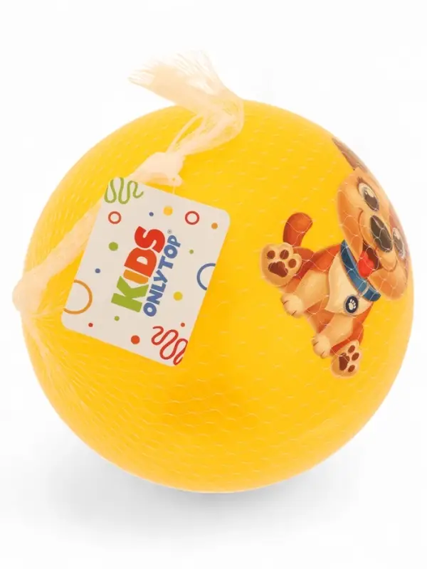Мяч детский «Пёсик», d=22 см, МИКС Мяч детский «Пёсик», d=22 см, МИКС