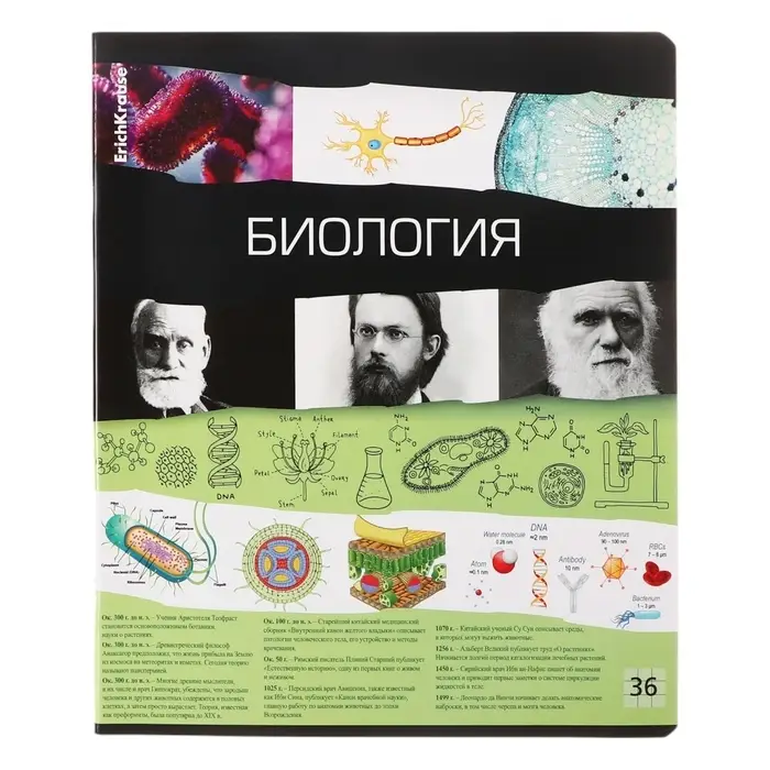 Набор предметных тетрадей ErichKrause. Timeline, 12 предметов, 36 листов, со справочным материалом