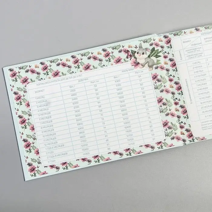 Медицинская карта &laquo;История развития ребёнка&raquo;, Бемби, 40 листов