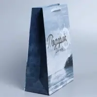 Пакет подарочный ламинированный, упаковка, Present for you, ML 21&times;25&times;8 см
