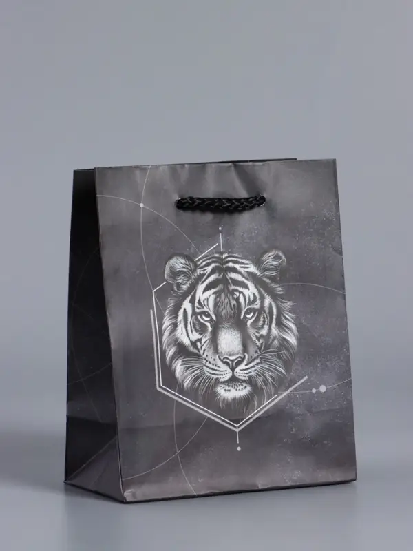 Пакет подарочный "Сила характера" ламинированый 11,5 х 14,5 х 6,5 см