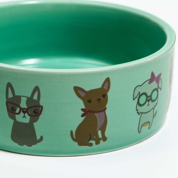 Миска керамическая  Миска керамическая "Важный пес" 250мл, 11,5 х 5 см, мятная