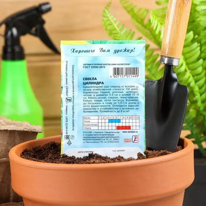 Семена Свекла  Семена Свекла "Цилиндра", 1 г