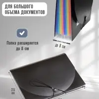 Папка 12 отделений, А4, с цветными разделителями, черная