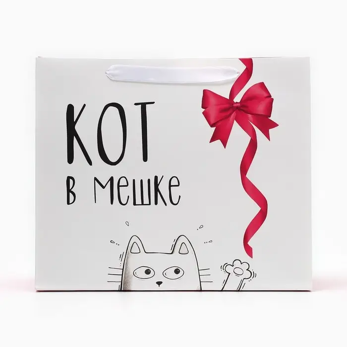 Пакет подарочный ламинированный, упаковка, &laquo;Кот в мешке&raquo;, ML 23&times;27&times;11.5 см