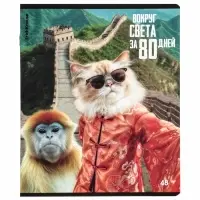 Тетрадь в клетку, 48 листов, ErichKrause. CatVoyage, обложка мелованный картон, МИКС