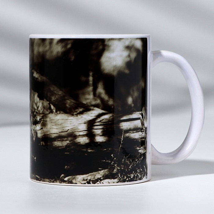 Кружка "Александр" лев, 320 мл