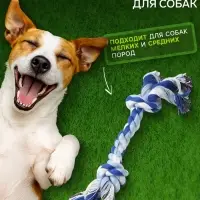 Игрушка канатная &laquo;2 узла&raquo;, средняя, цвет МИКС
