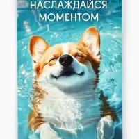 Открытка &laquo;Тебе&raquo;, 12&times;18 см