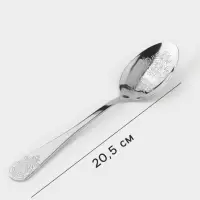 Набор столовых ложек Доляна &laquo;Эмили&raquo;, длина 20.5 см, 6 шт., нержавеющая сталь, серебристый