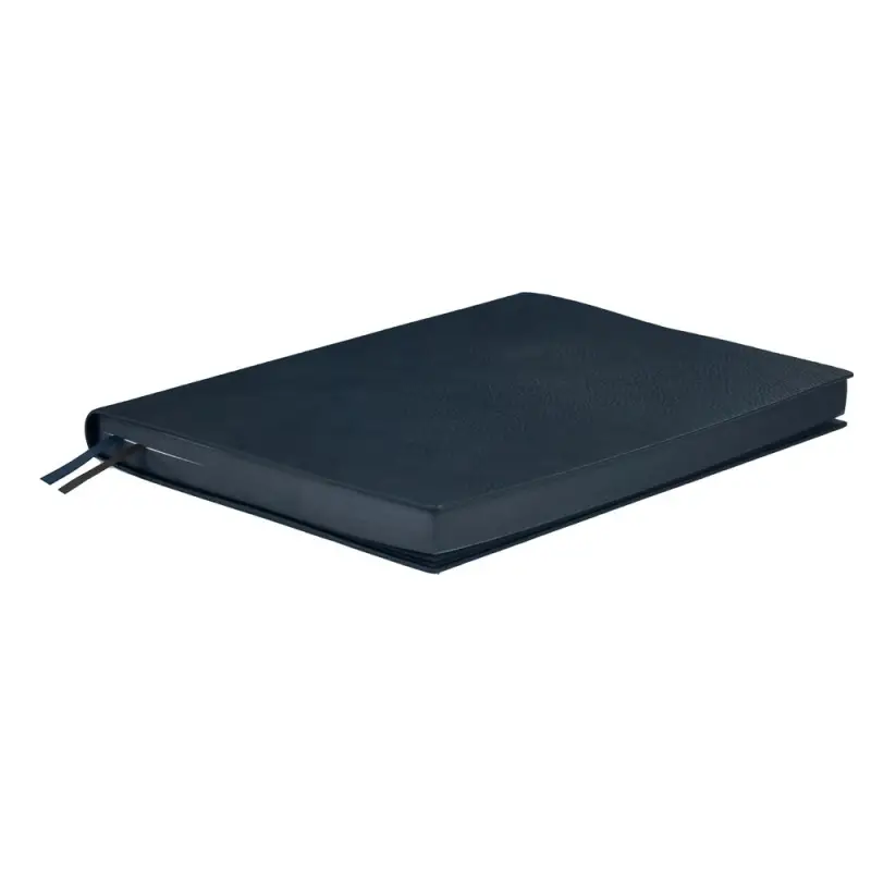 Ежедневник Avila, недатированный, синий Ежедневник Avila, недатированный, синий