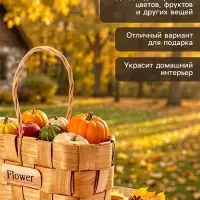 Корзина плетёная для хранения, 17&times;10&times;9 см, ручка h=9.5 см, секвойя