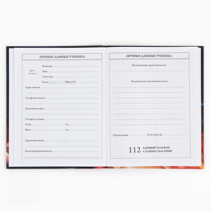 Дневник школьный 1-4 класса, в твердой обложке, 48 л «Рыжий котенок» Дневник школьный 1-4 класса, в твердой обложке, 48 л «Рыжий котенок»