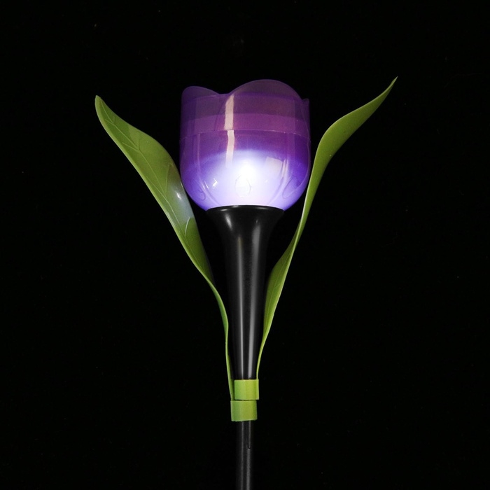 Садовый светильник на солнечной батарее «Тюльпан фиолетовый», 4.5×29×4.5 см, 1 LED, свечение белое