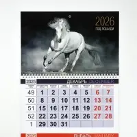 Календарь квартальный 2026 «Белый конь»