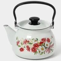 Чайник эмалированный &laquo;Астры&raquo;, 3 л, металлическая ручка, белый
