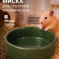 Миска для грызунов &laquo;Брызги&raquo;, 100 мл, 8.5&times;3 см, керамика, зелёная