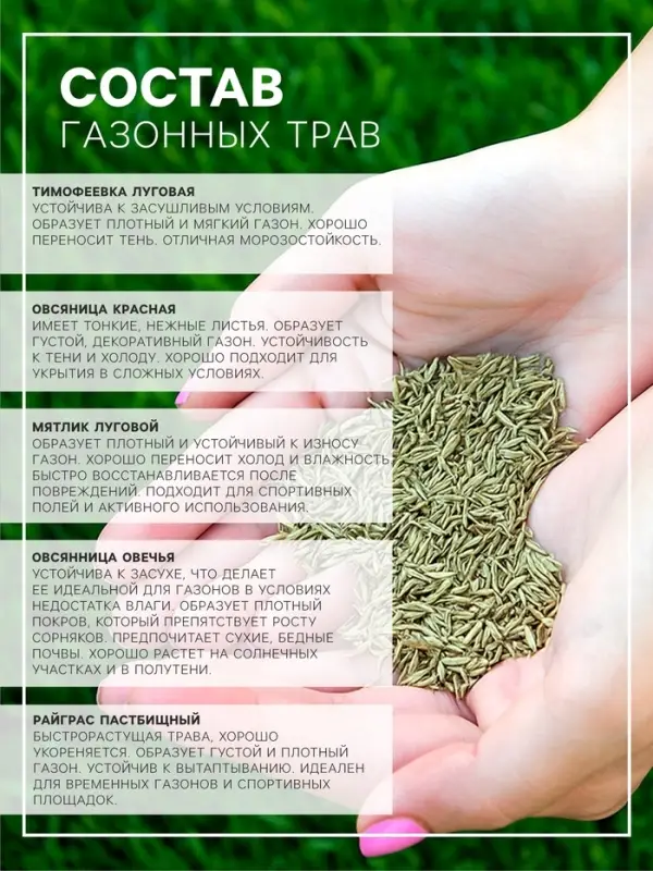 Газонная травосмесь &laquo;Гном&raquo;, 5 кг