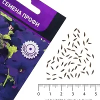 Семена цветов Петуния грандифлора &laquo;Аладдин&raquo; синяя, 30 шт.