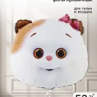 Воздушный шар фольгированный 21" &laquo;Кошечка Ли-Ли&raquo;