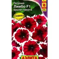 Семена цветов Петуния Лимбо F1 виолет пикоти крупноцветковая (драже) С. Hem Genetics, Ц/П,7 шт. 1094 Семена цветов Петуния Лимбо F1 виолет пикоти крупноцветковая (драже) С. Hem Genetics, Ц/П,7 шт. 1094