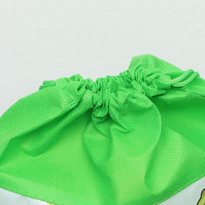 Мешок для обуви «Авокадо»  полиэстер, размер 30 х 40 см Мешок для обуви «Авокадо»  полиэстер, размер 30 х 40 см