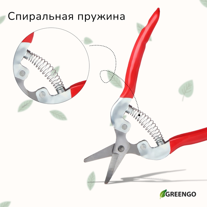 Ножницы садовые, 7 Ножницы садовые, 7" (18 см), с металлическими ручками, обрезиненная ручка, Greengo