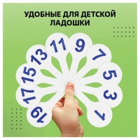 Набор веер-касс, гласные, согласные и цифры, Стамм, 3 штуки, плотные, пакет с европодвесом