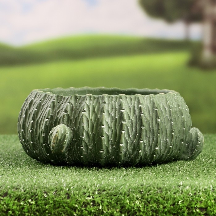 Кашпо - бонсай  Кашпо - бонсай "Кактус" 25х11см