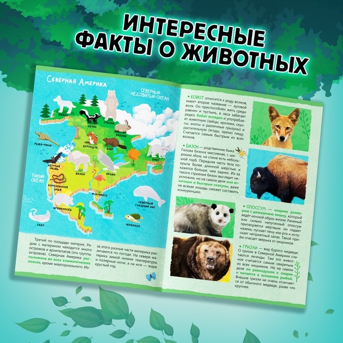 Обучающий набор «Животные нашей планеты», мини-энциклопедия и пазл, 88 элементов Обучающий набор «Животные нашей планеты», мини-энциклопедия и пазл, 88 элементов