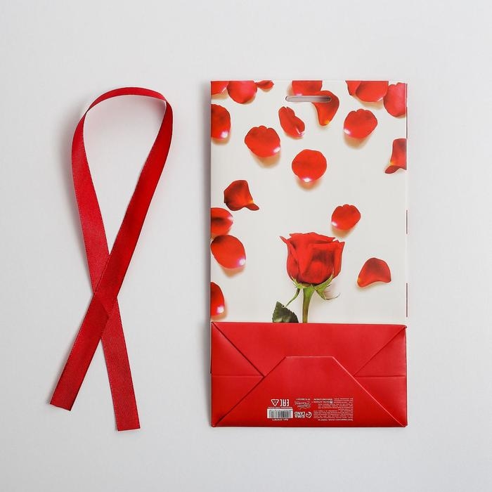 Пакет подарочный с лентой, упаковка, «От всего сердца», 13 х 23 х 7 см