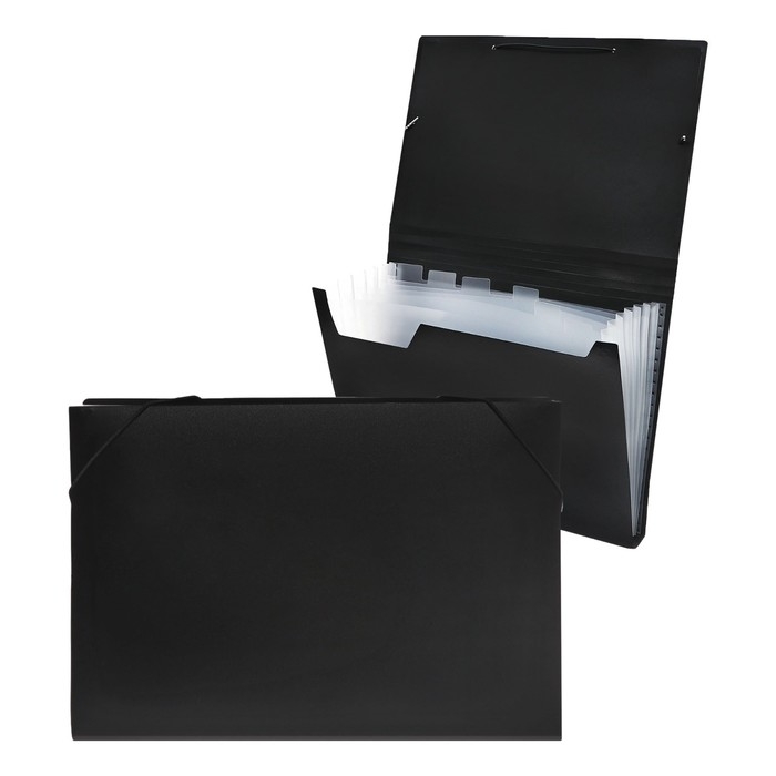 Папка картотека А4, Calligrata, 6 отделений, пластиковая, 700 мкм, чёрная Папка картотека А4, Calligrata, 6 отделений, пластиковая, 700 мкм, чёрная
