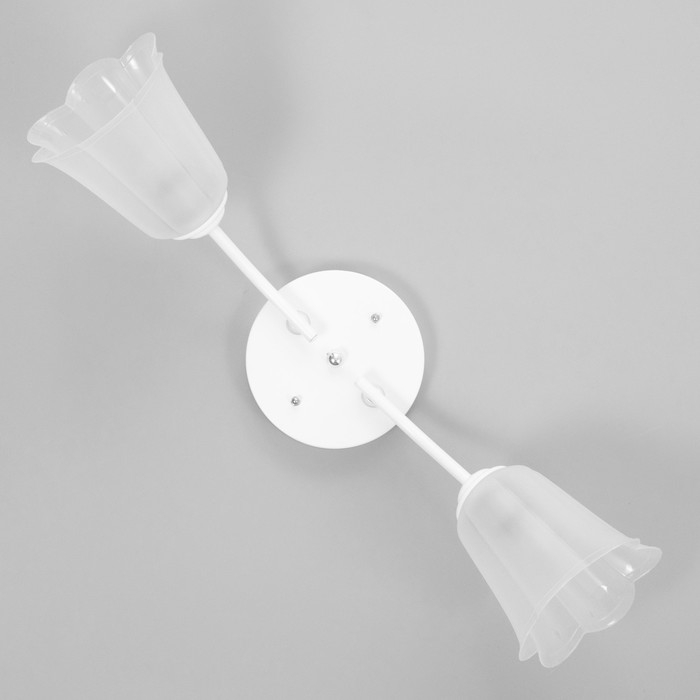 Люстра Люстра "Онлайн" (цветок) 2х15Вт Е27 МОДЕЛЬ: BR 00197 белый/прозрачный