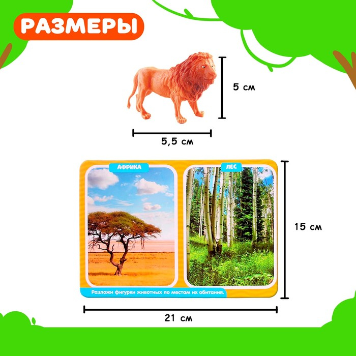 Развивающий набор-сортёр «Изучаем животных», по методике Монтессори, 3+ Развивающий набор-сортёр «Изучаем животных», по методике Монтессори, 3+