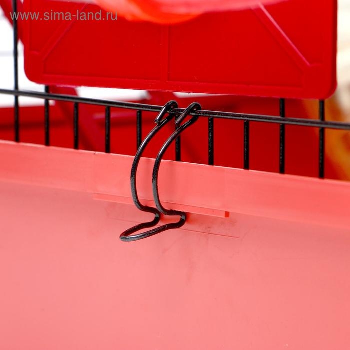 Клетка для грызунов Клетка для грызунов "Хома 4", 55 x 37 x 42 см, микс цветов