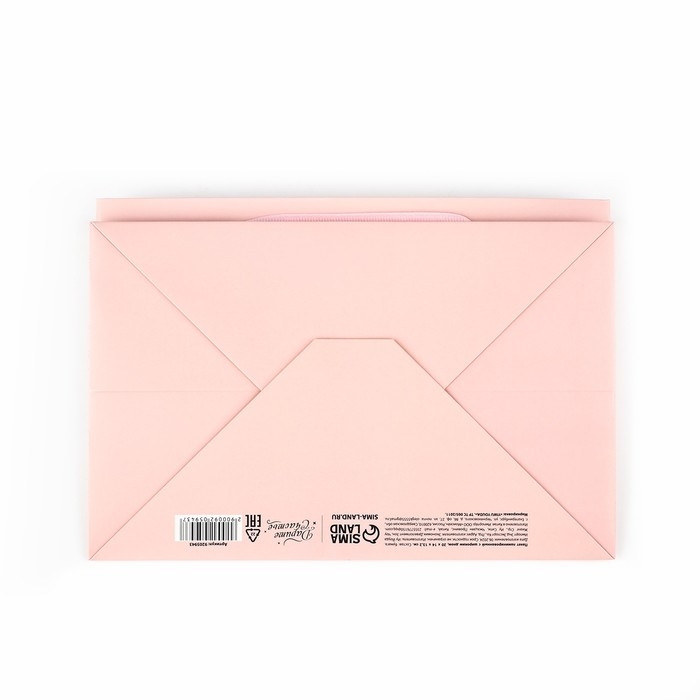 Пакет подарочный с широким дном, упаковка, «Present», 20 х 14 х 13,2 см