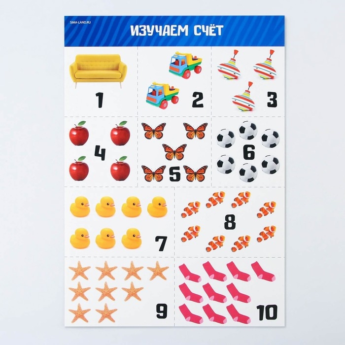 Набор обучающих плакатов «Изучаем мир», 10 в 1, А4