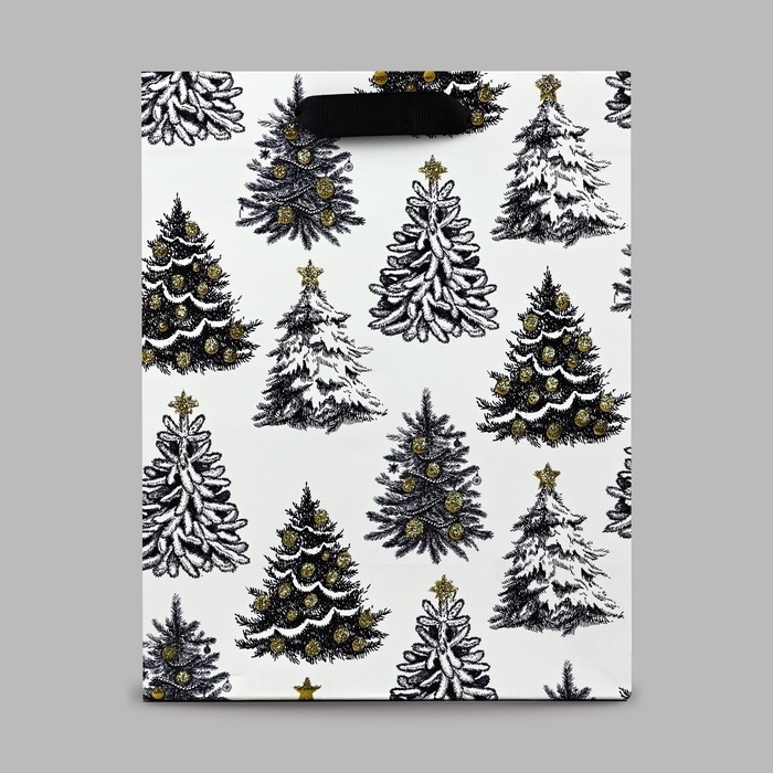 Пакет подарочный новогодний ламинированный «Зимняя сказка», MS 23 x 18 х 10 см Пакет подарочный новогодний ламинированный «Зимняя сказка», MS 23 x 18 х 10 см